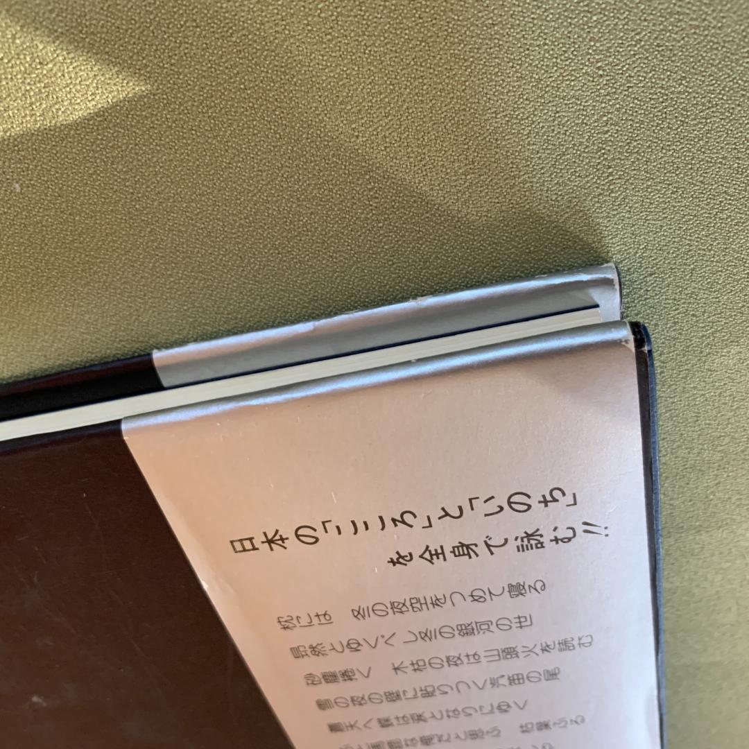 銀河蒼茫　野村秋介獄中句集【初版】