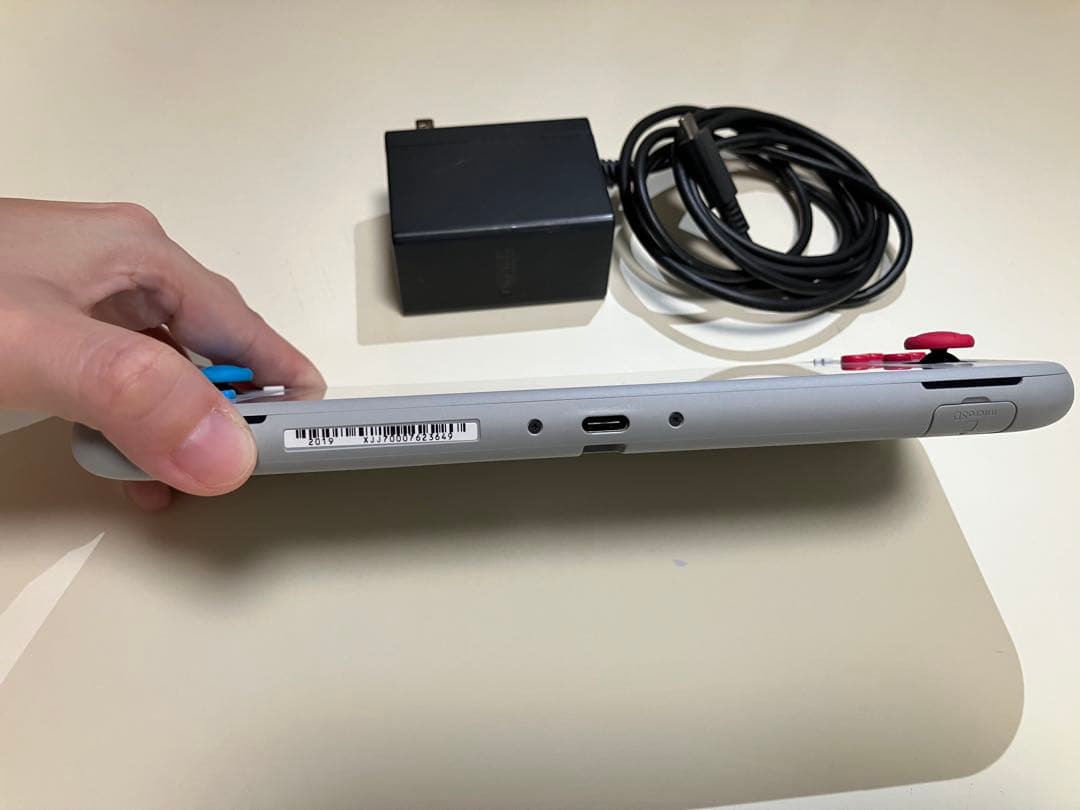 Nintendo Switch Lite ポケモン　ザシアン ザマゼンタ