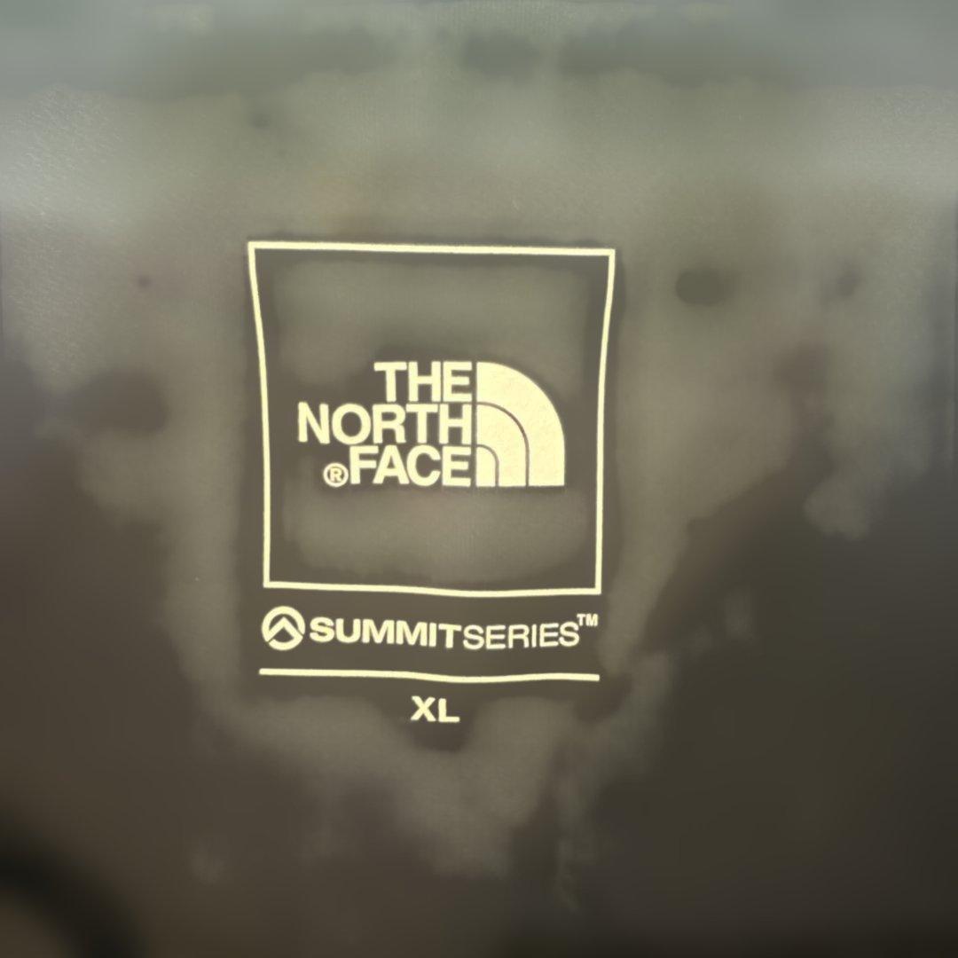 The North Face Summit Series ショートパンツ