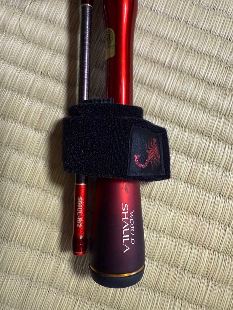 ワールドシャウラテクニカルエディション24 S６６ＵＬ-Ｒ/2