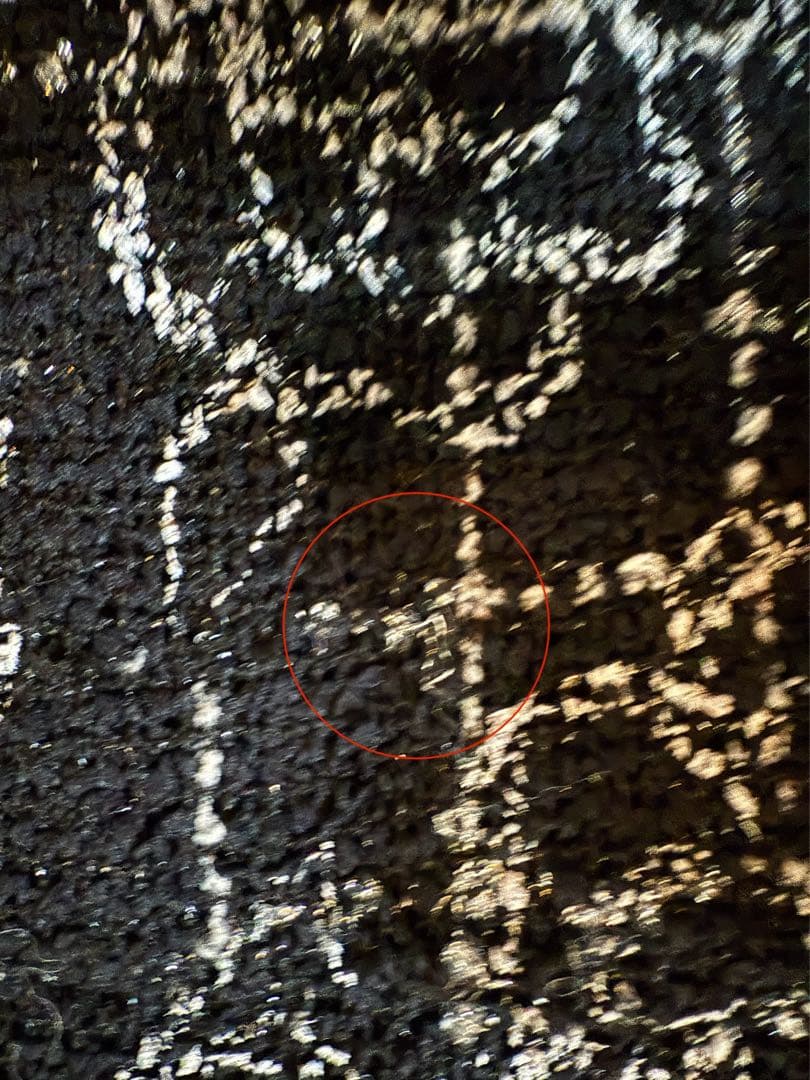 CHANEL シャネル 【美品/国内正規】ミニ 34