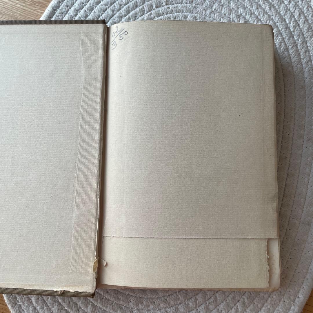 ラフカディオ ハーン 骨董 Kotto Lafcadio Hearn 古書 洋書