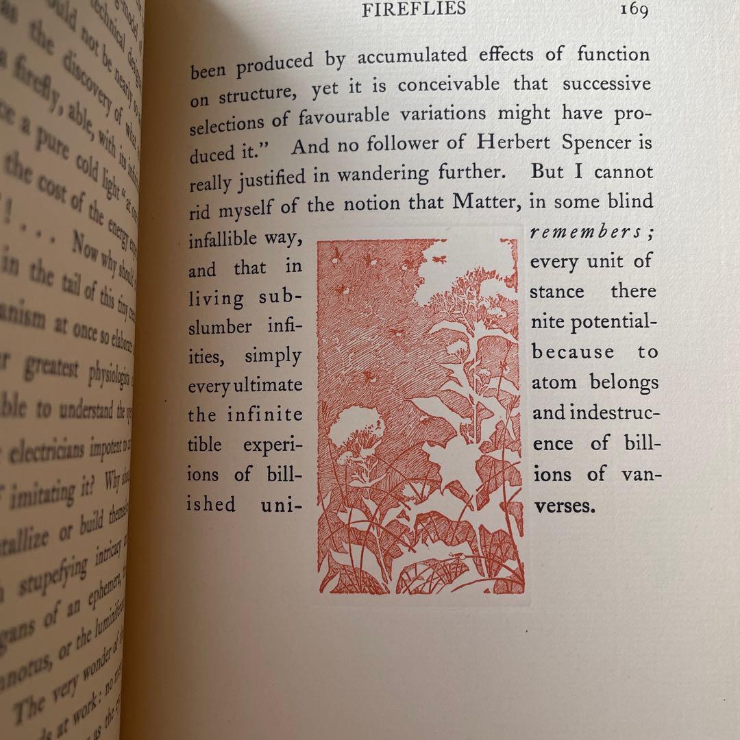 ラフカディオ ハーン 骨董 Kotto Lafcadio Hearn 古書 洋書