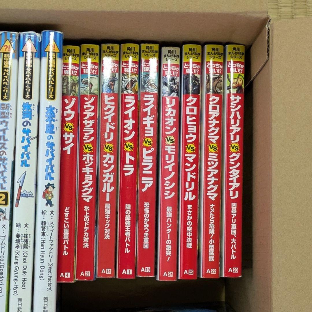 ジャングルのサバイバル　サバイバルシリーズ　どっちが強い！？