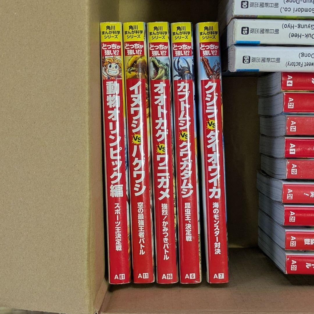 ジャングルのサバイバル　サバイバルシリーズ　どっちが強い！？
