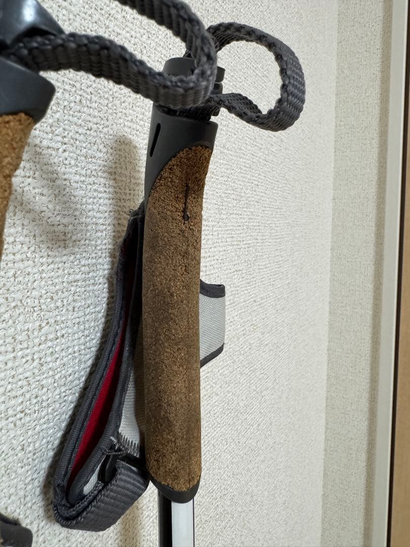 SWIX トライアック1.0 クロスカントリースキーストック