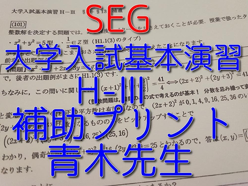 SEGの青木先生の大学入試基本演習補助Hプリントフルセット　駿台　鉄緑会　河合塾