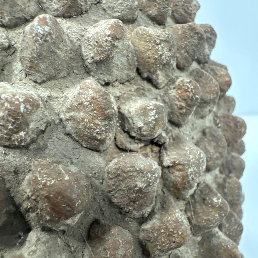 値下済 希少 アフリカ民芸風 ドリアン土器一輪挿し プリミティブアート オブジェ