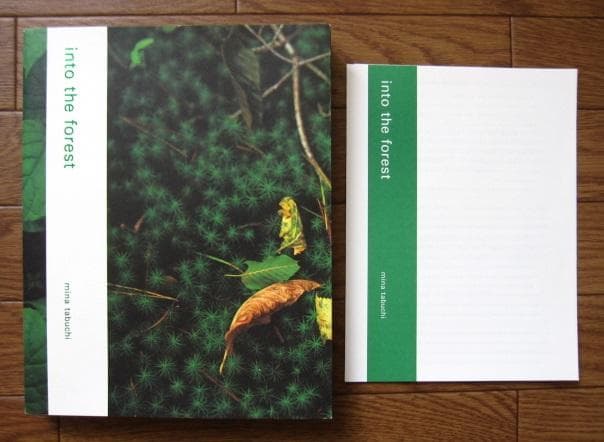 into the forest　田淵三菜　Mina Tabuchi　冊子付