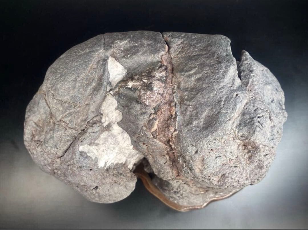 2477 安倍川紫晃石 『九天ノ瀧』桐箱付 水石 骨董 盆石