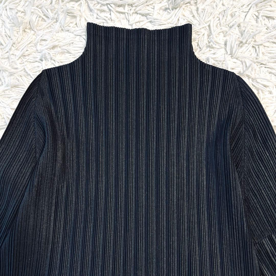 プリーツプリーズ 長袖カットソー ハイネック イッセイミヤケ ブラック