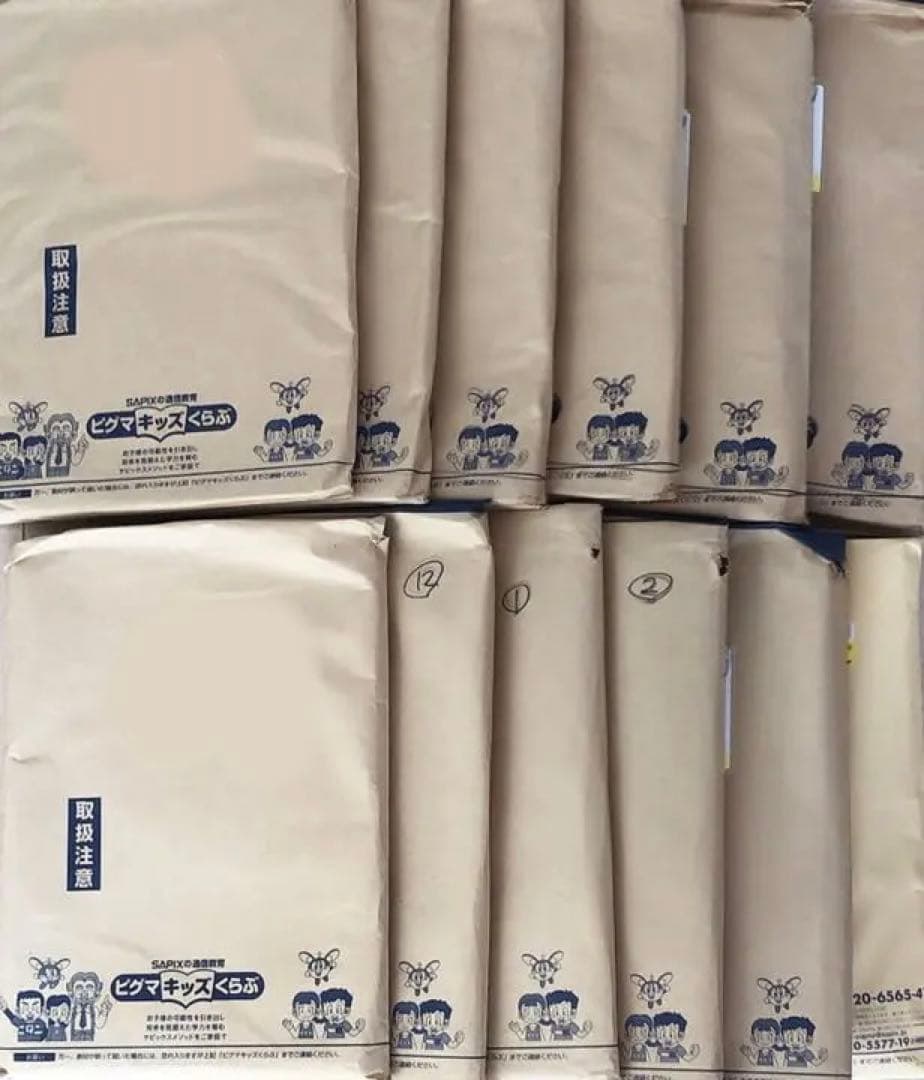 ピグマキッズ SAPIX 2年生