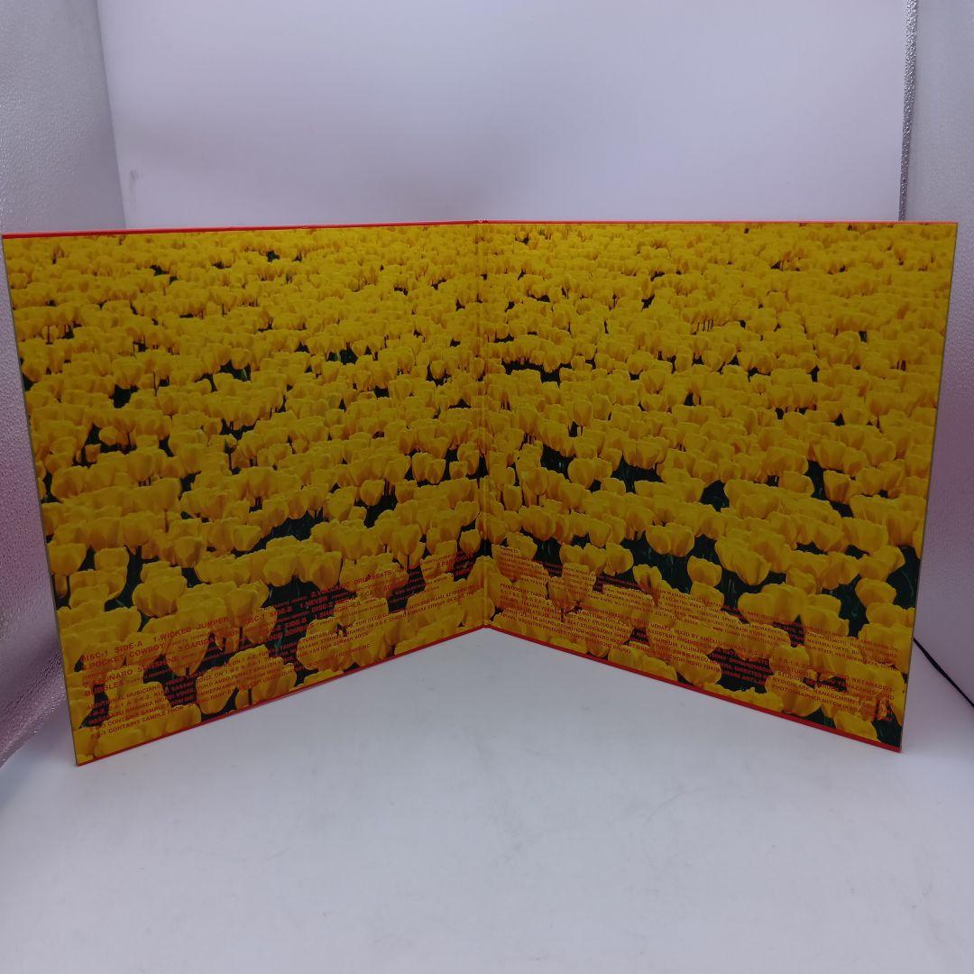 ⑤ 電気グルーヴ A LPレコード