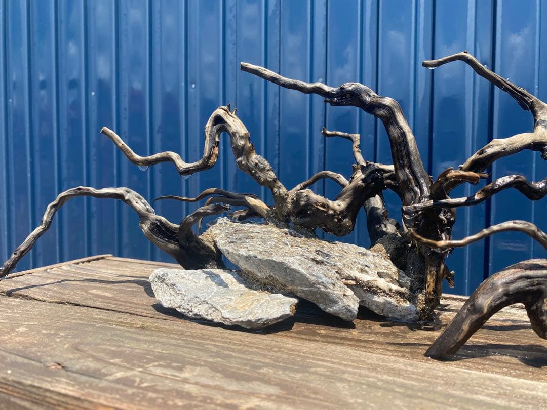 流木レイアウト 2点セット　A853