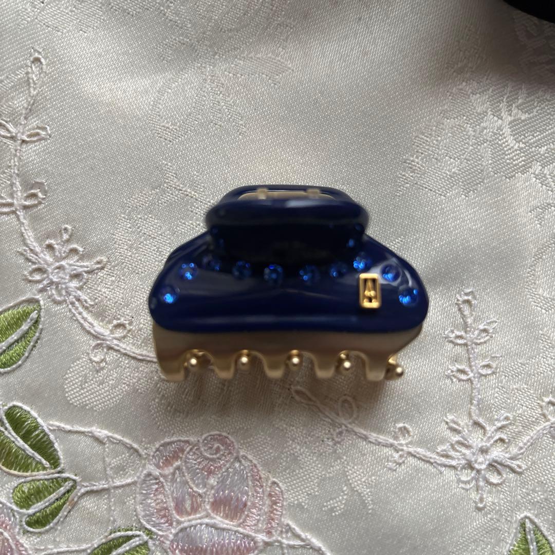 ⭐️ALEXANDRE DE PARISのヘアクリップ　4.５センチ