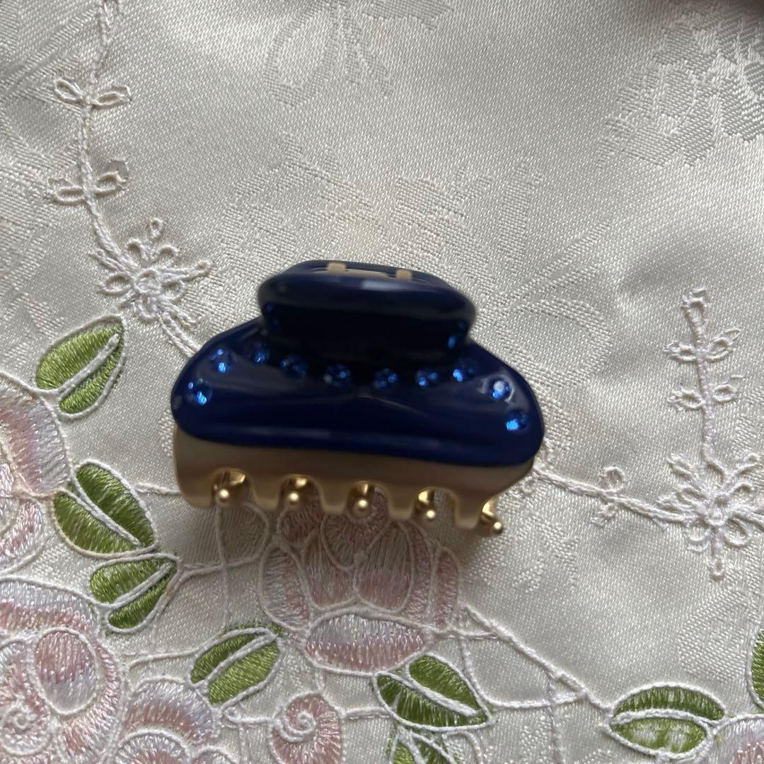 ⭐️ALEXANDRE DE PARISのヘアクリップ　4.５センチ