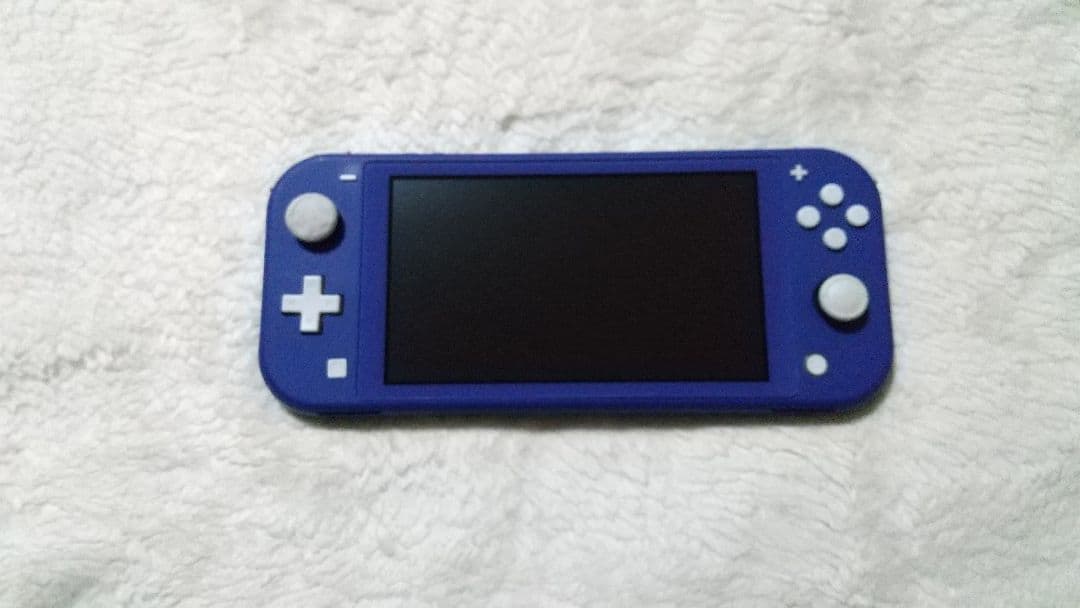 ジャンクNintendo Switch Lite ブルー 画面写らない 通電