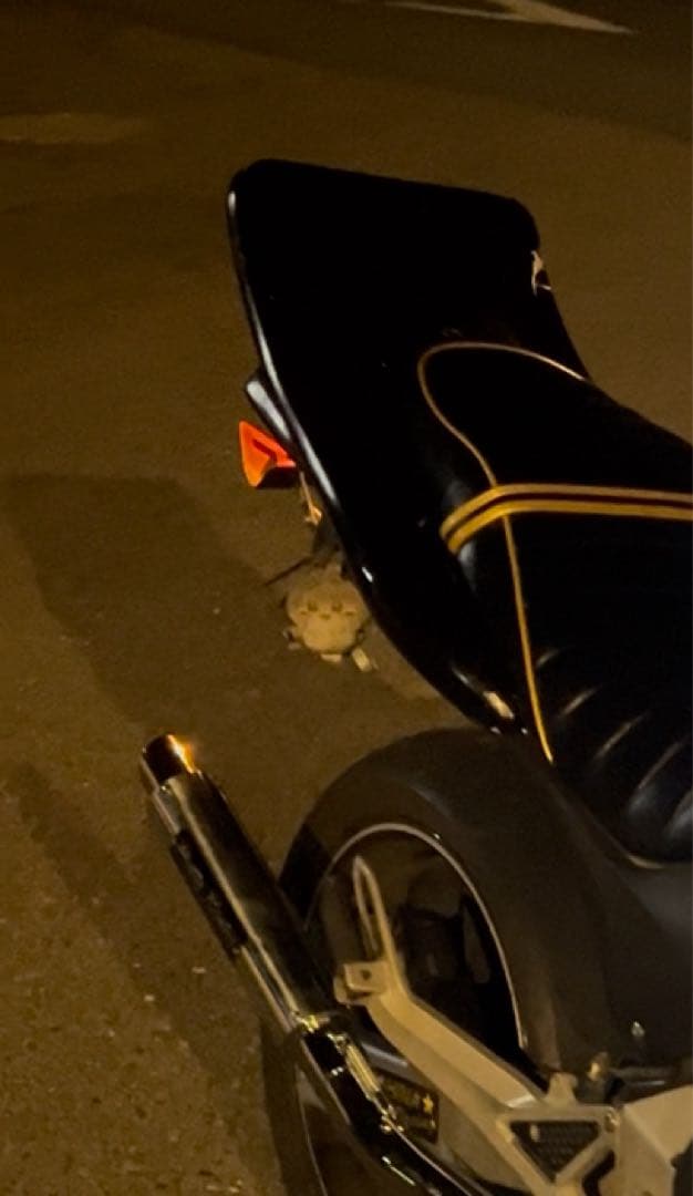 hornet250用 CBXテール(テールランプセット)