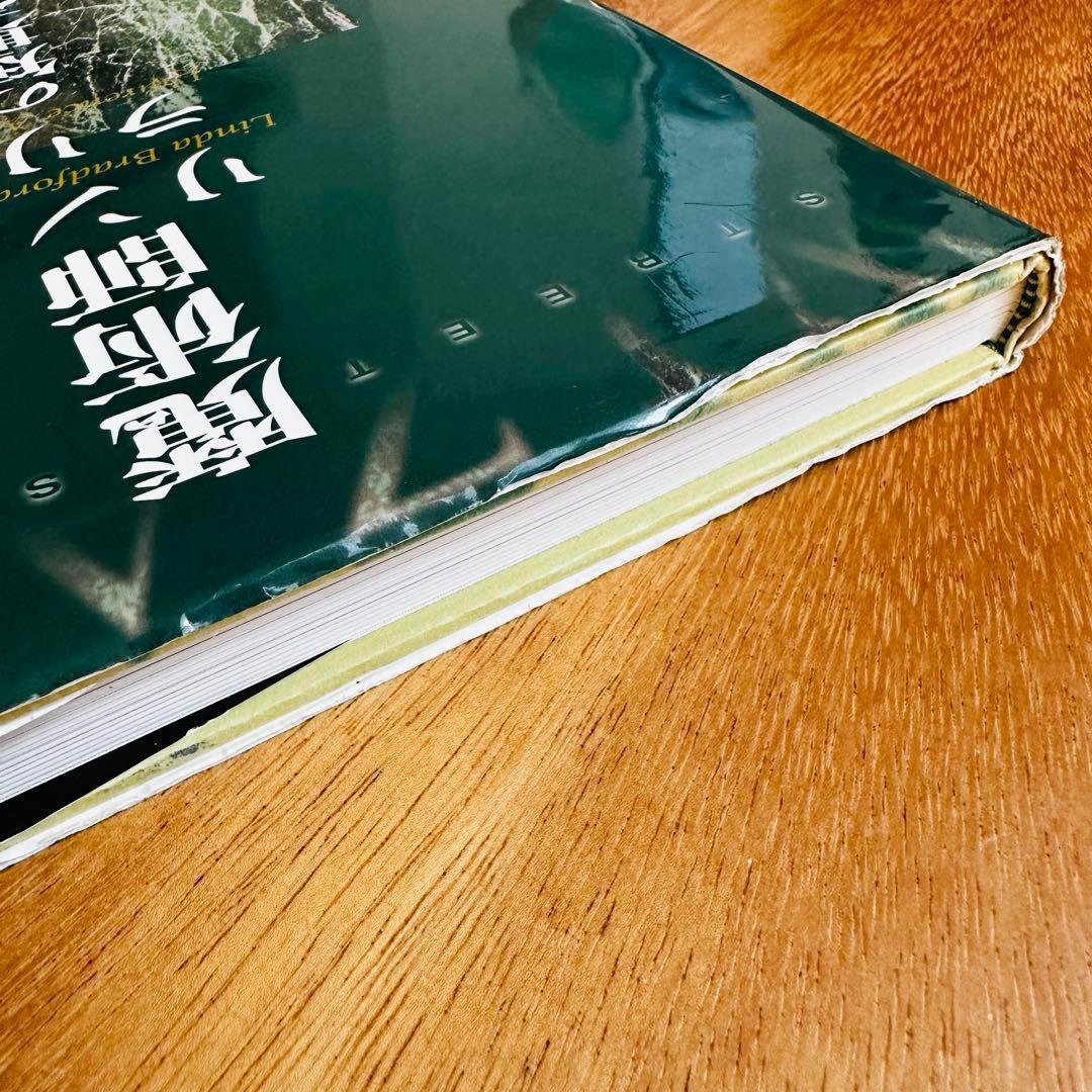 魔術師 リンダ ラリー の短期売買入門　美品 書き込みなし！