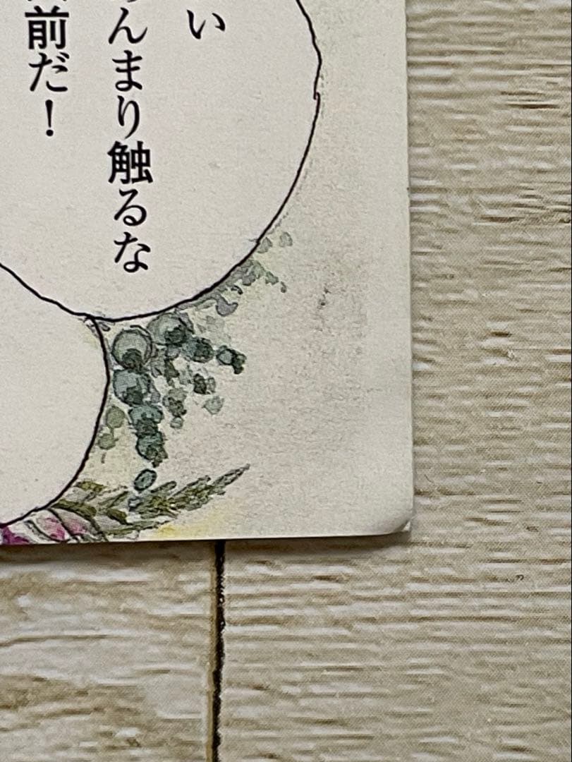 ベルサイユのばら 愛と涙の結婚準備ダンドリBOOK