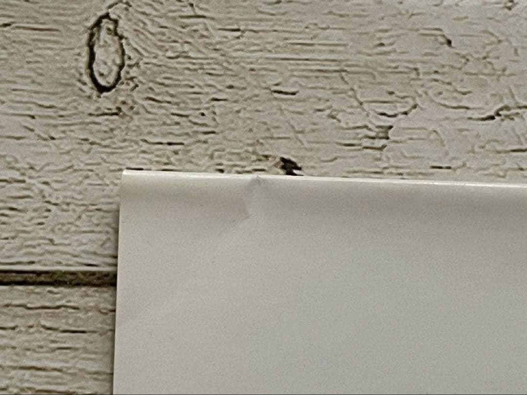 ベルサイユのばら 愛と涙の結婚準備ダンドリBOOK