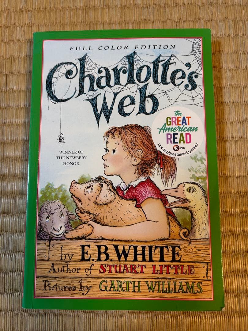 タオ　英語絵本、児童書4セット