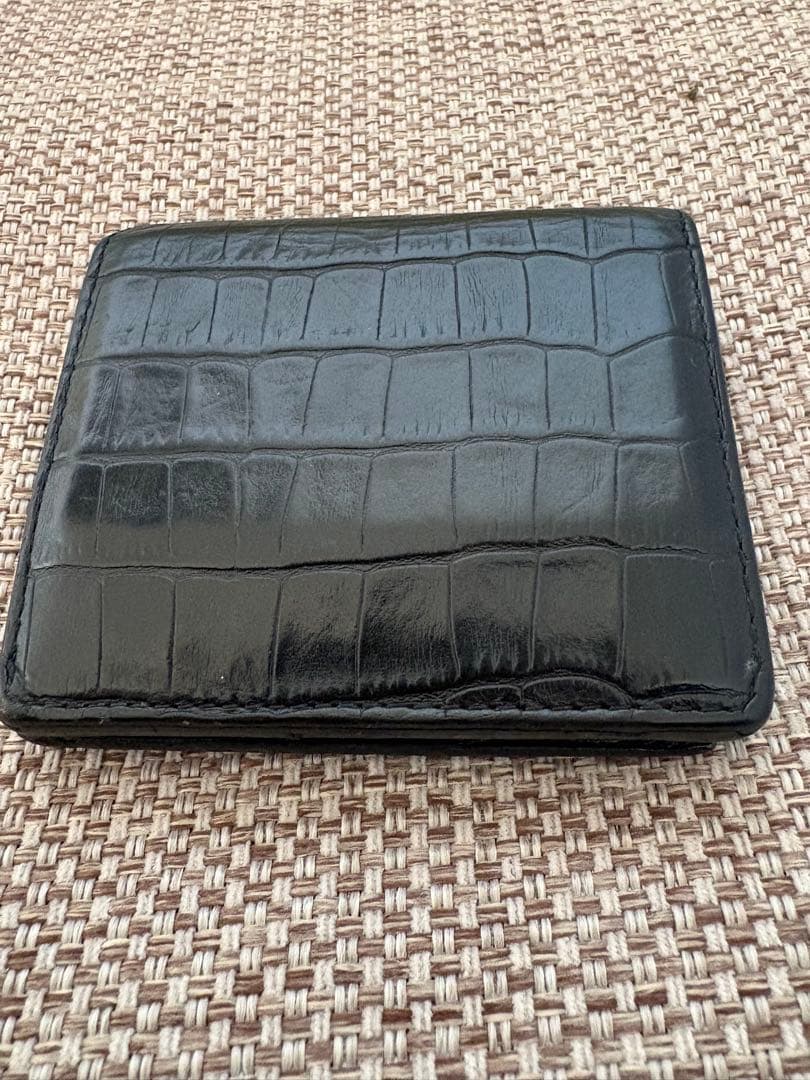 エンダースキーマ　クロコ