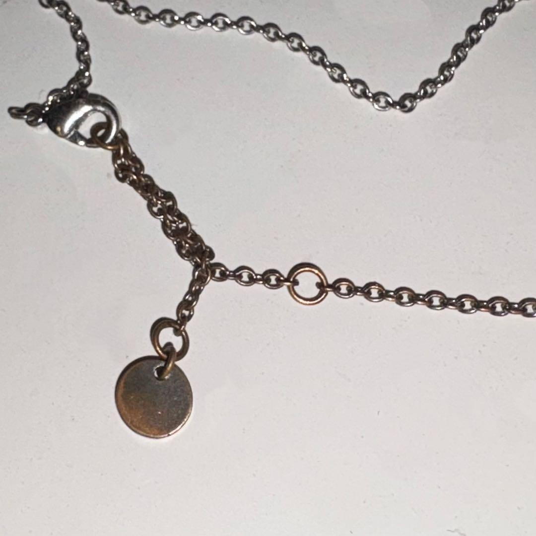 Dior Clair de lune ネックレス シルバー