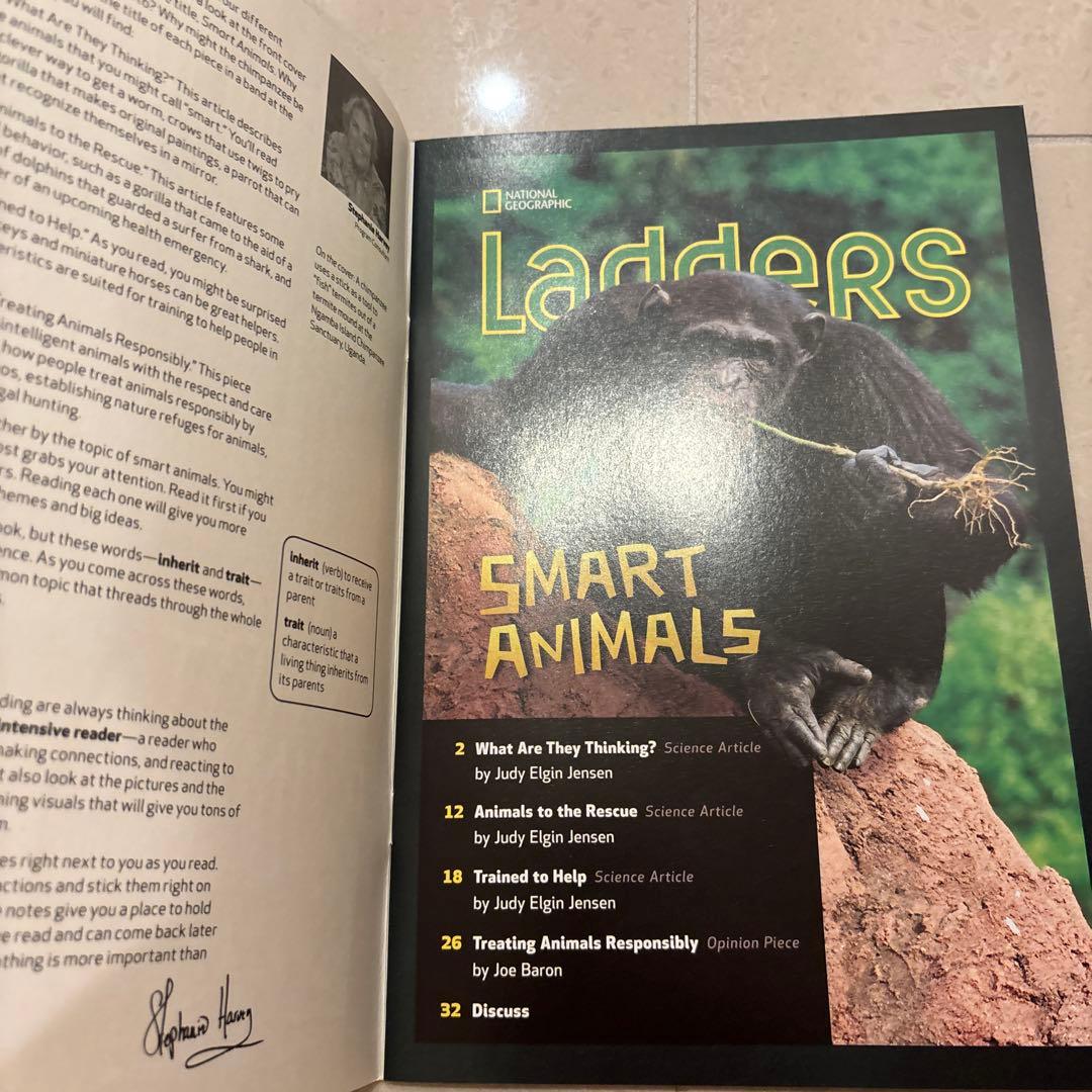 多読　Laddersシリーズ 学習参考書 まとめ　80冊 ラダーズ