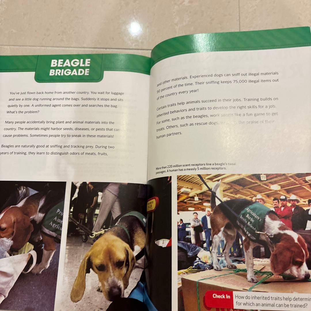 多読　Laddersシリーズ 学習参考書 まとめ　80冊 ラダーズ