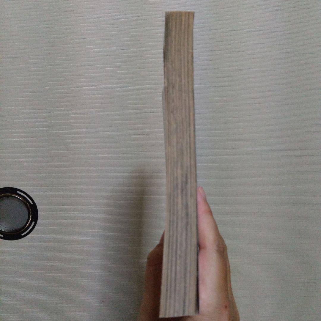 闇は集う 夜に消える翼　なかよし平成11年3月号別冊ふろく　松本洋子