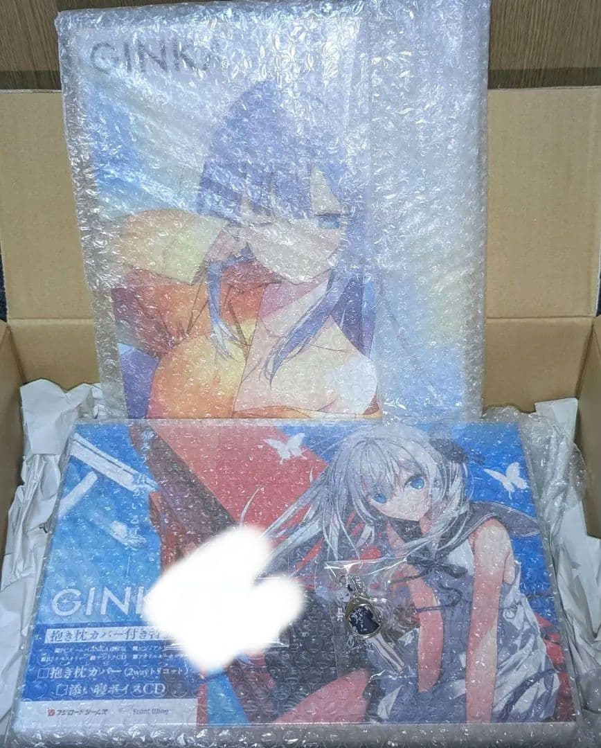 【届いたまま新品未開封他】GINKA 抱き枕カバー付き特装版 PCゲーム
