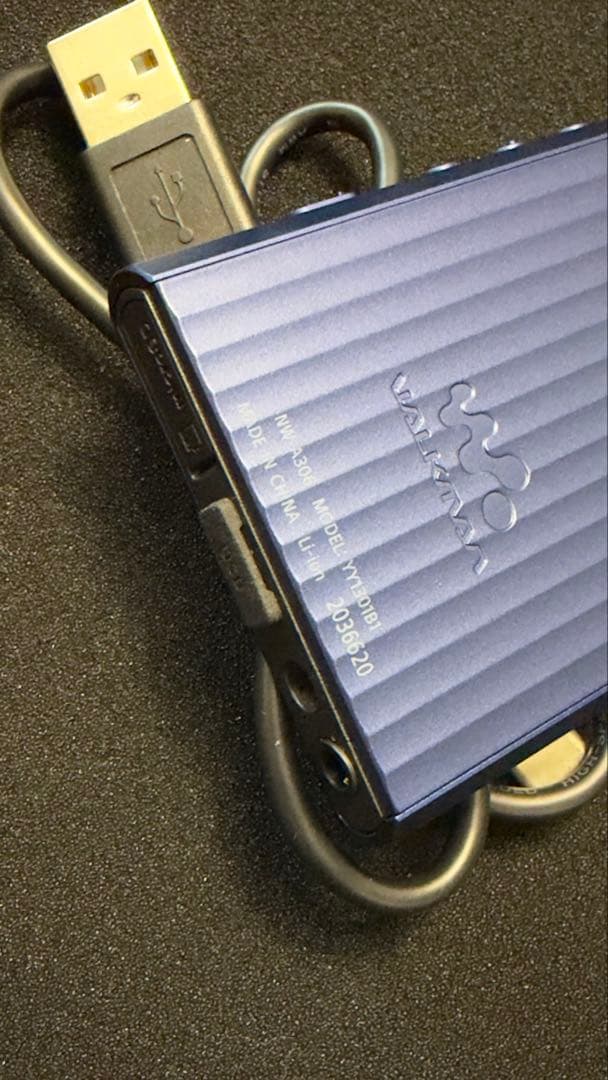 SONY NW-A306デジタルオーディオプレーヤー