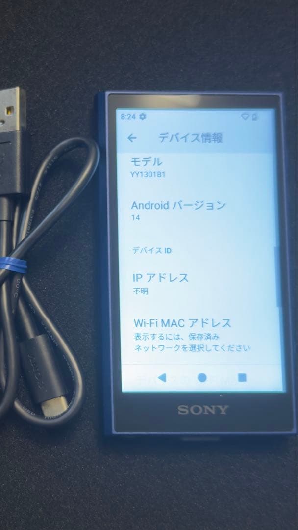 SONY NW-A306デジタルオーディオプレーヤー