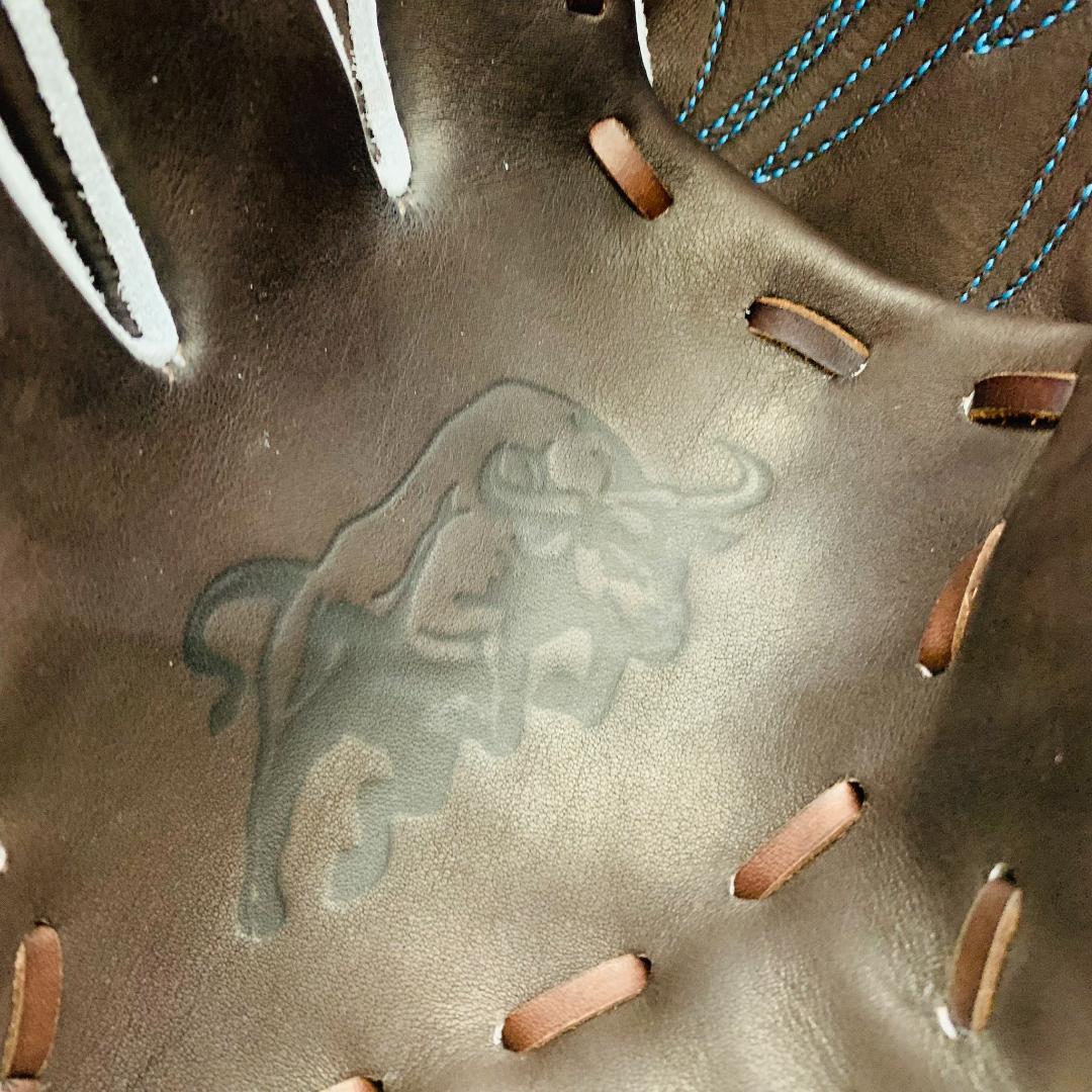 テッペン　オリジナルオーダーグラブ　硬式用　投手用　高校野球対応　SW1型