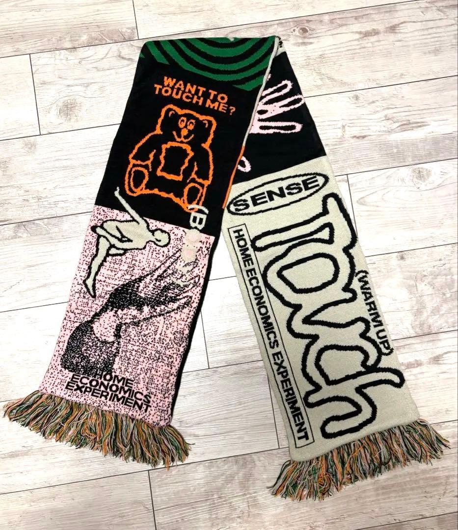  ECONOMICS EXPERIMENT マフラー