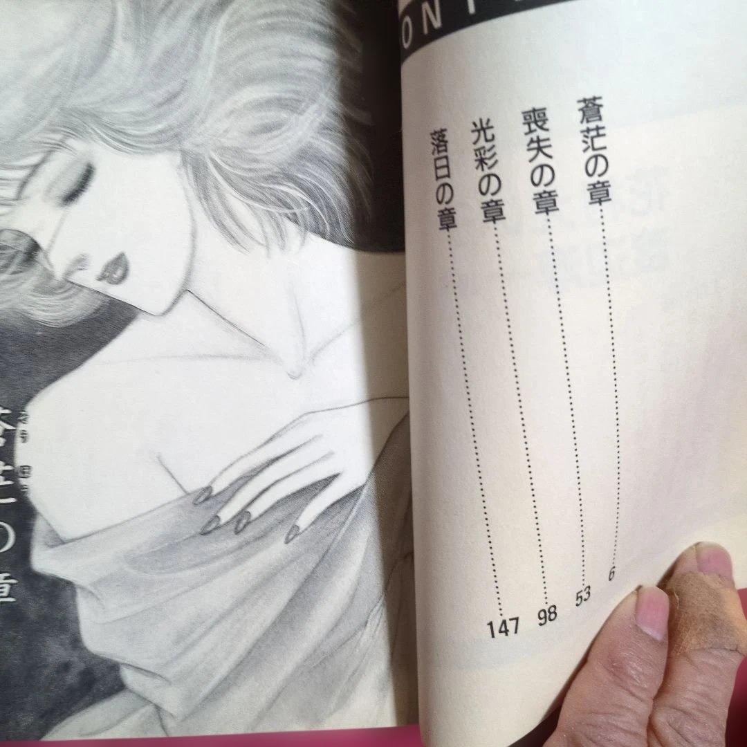 冬の花火　花村えい子・著　渡辺淳一・原作 1991年第1刷　講談社