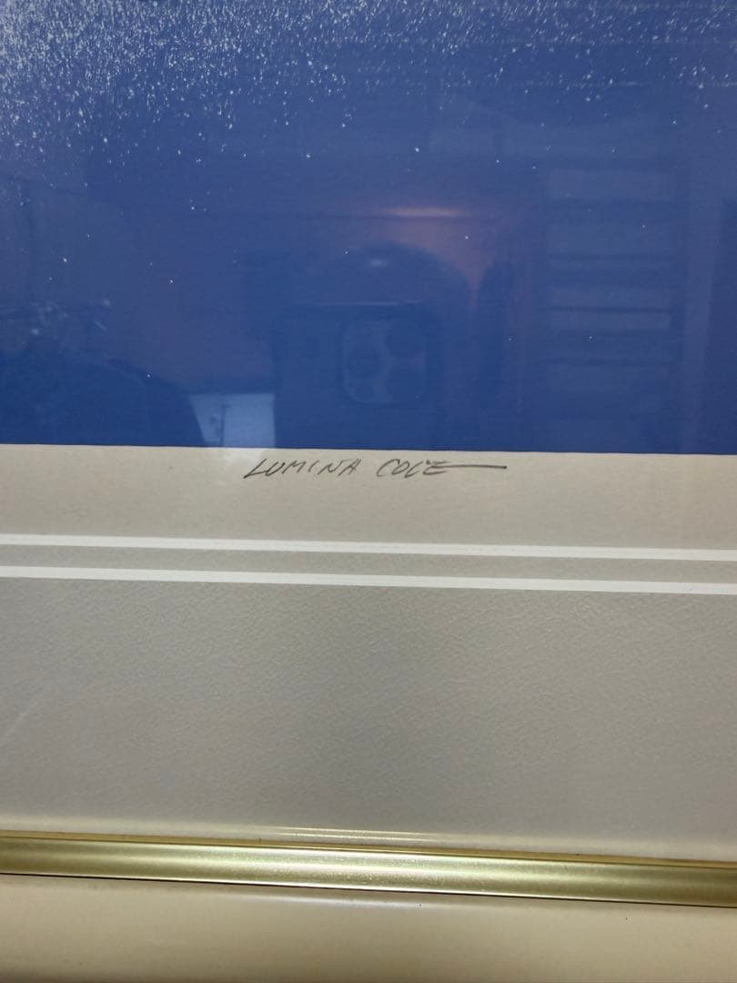 の*。様 送料込み！キースレイノルズ　Lumina Cove 846/850