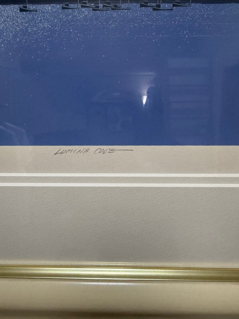 の*。様 送料込み！キースレイノルズ　Lumina Cove 846/850