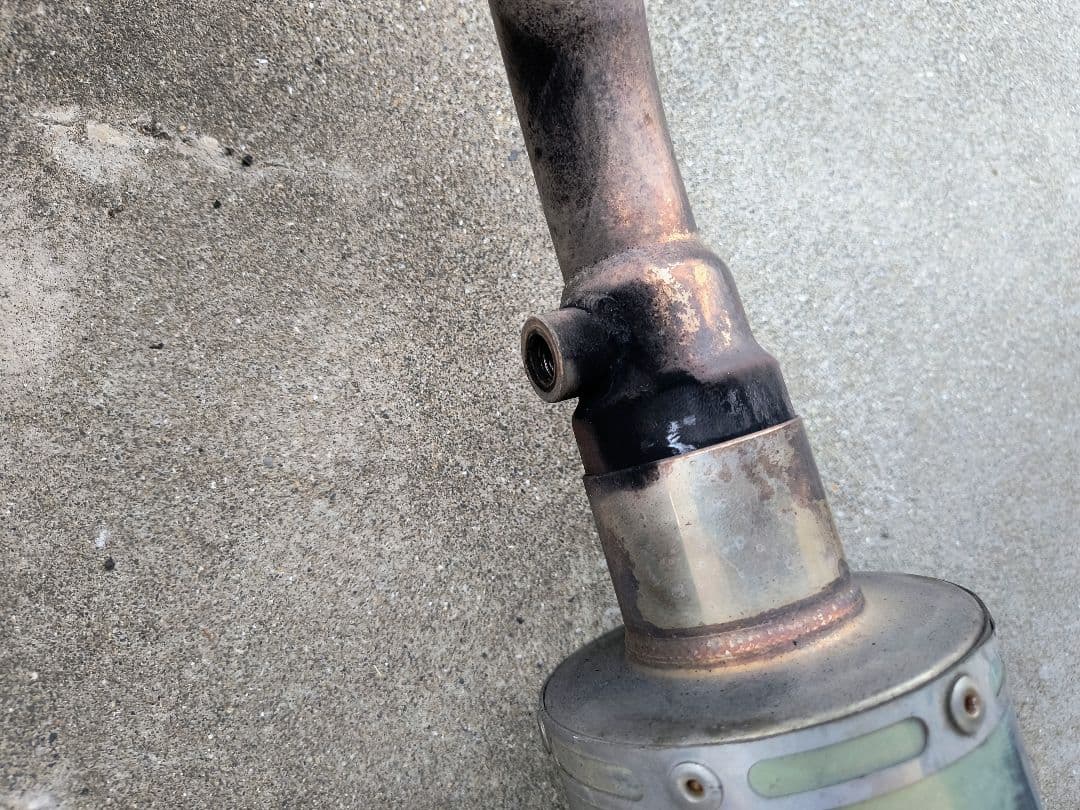 タニシさん専用