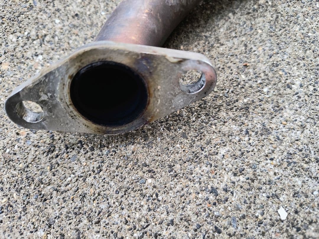 タニシさん専用