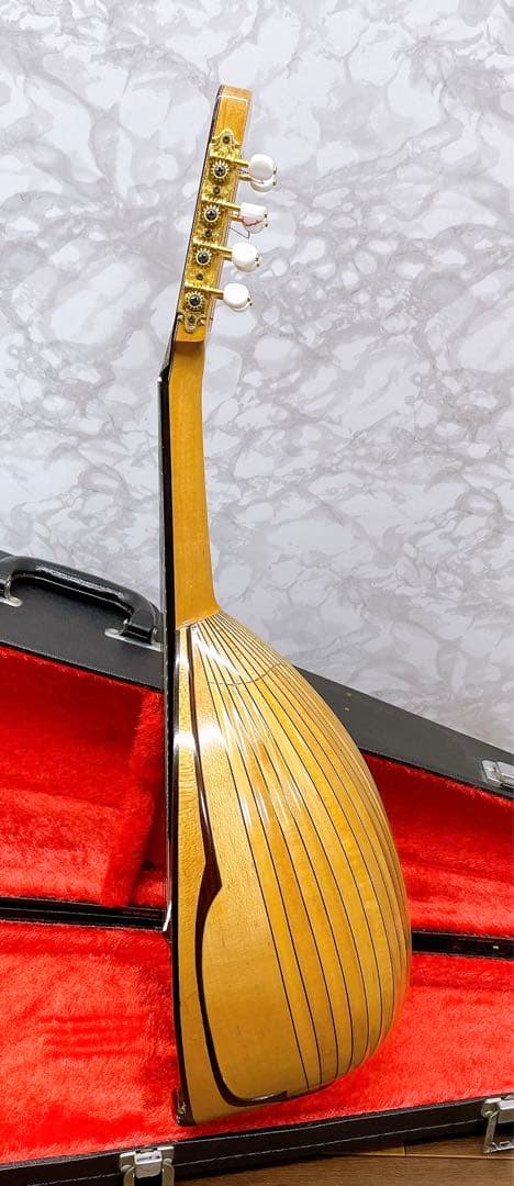 リブ胴　鈴木　マンドリン　M-80 ハードケース　SUZUKI