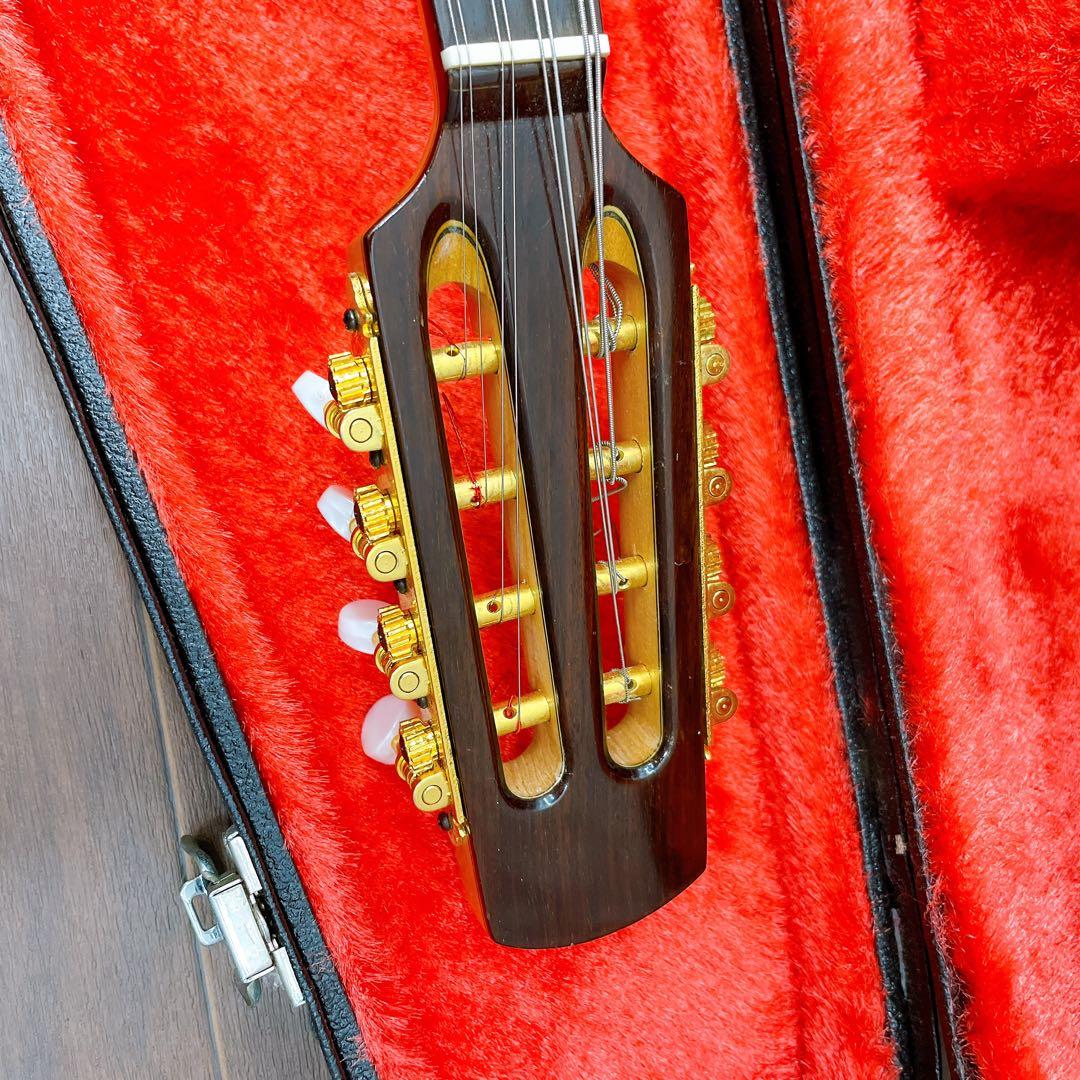 リブ胴　鈴木　マンドリン　M-80 ハードケース　SUZUKI