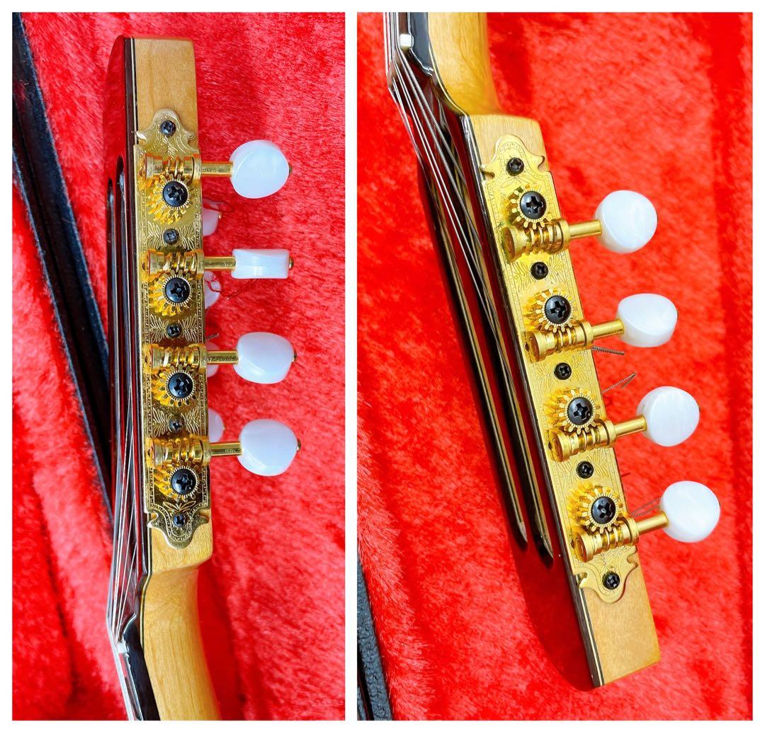 リブ胴　鈴木　マンドリン　M-80 ハードケース　SUZUKI