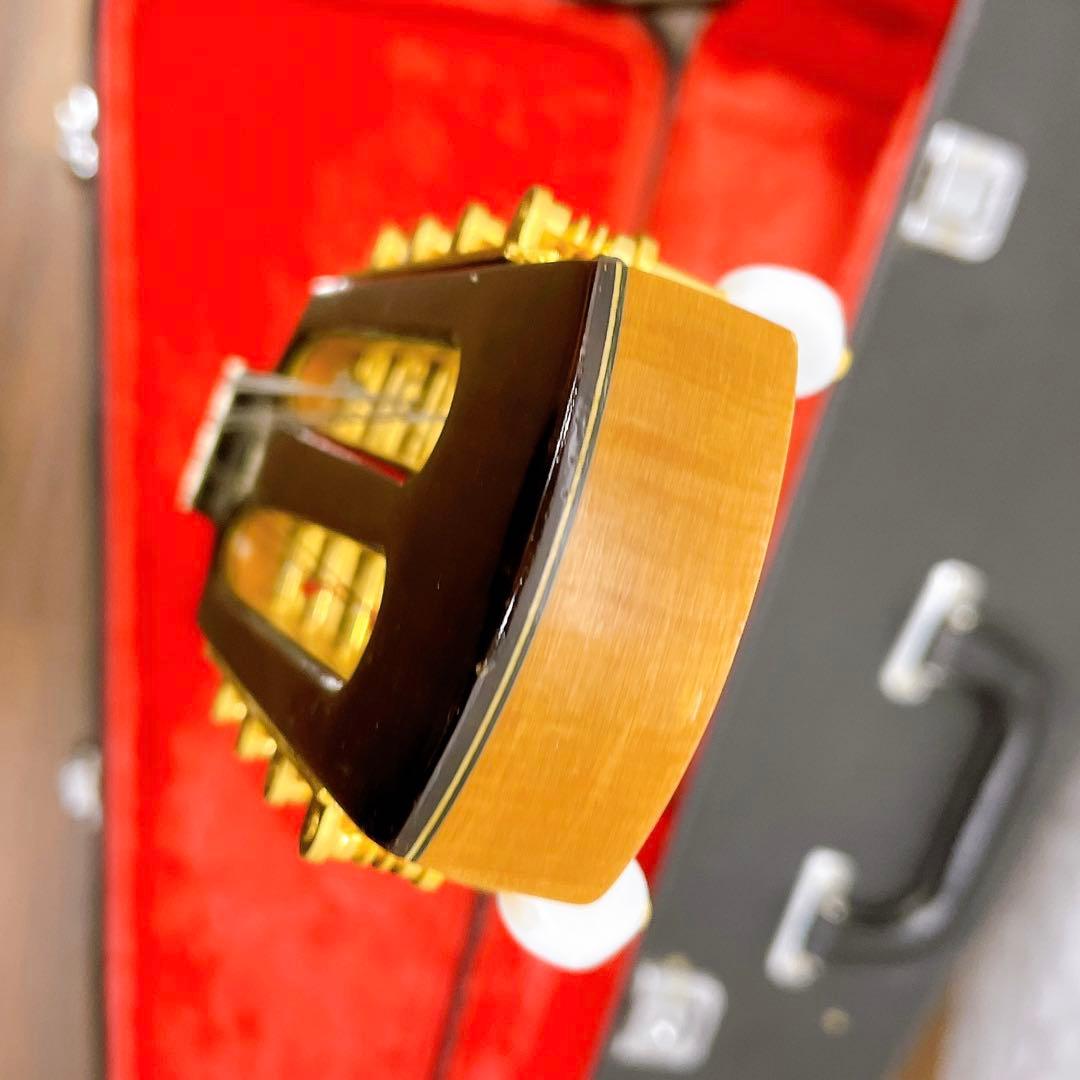 リブ胴　鈴木　マンドリン　M-80 ハードケース　SUZUKI