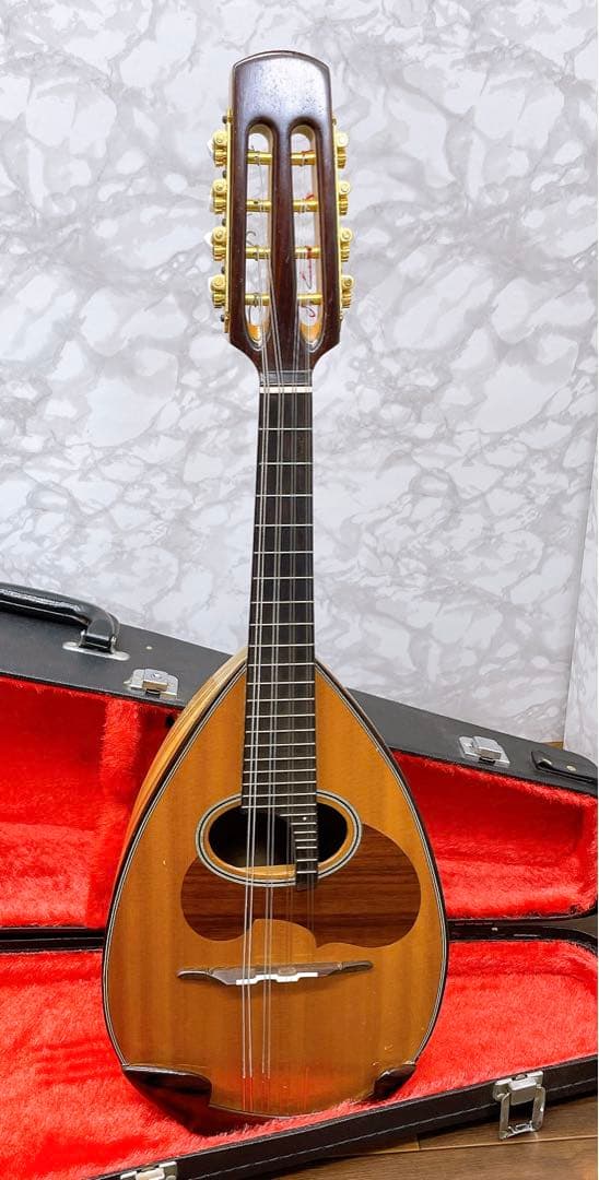 リブ胴　鈴木　マンドリン　M-80 ハードケース　SUZUKI