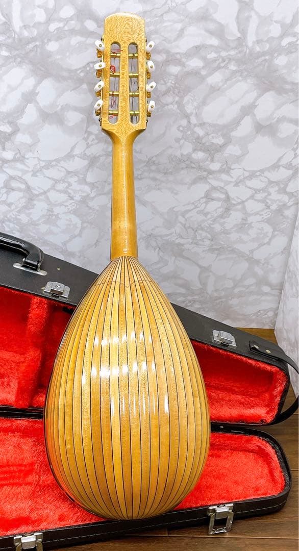 リブ胴　鈴木　マンドリン　M-80 ハードケース　SUZUKI