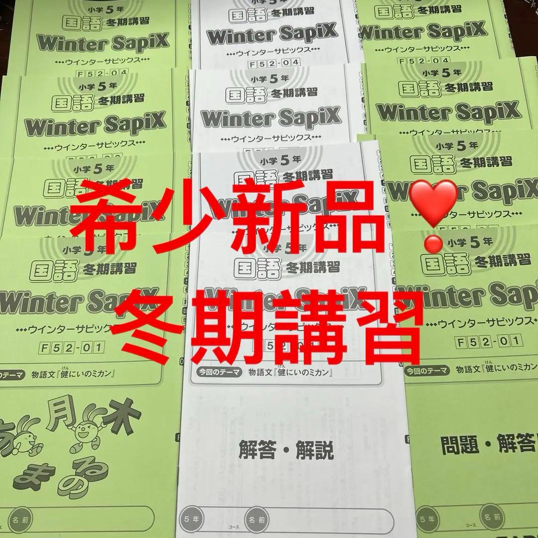 ㉒A 新品　サピックス　SAPIX 5年　国語　冬期講習　ウィンターサピックス
