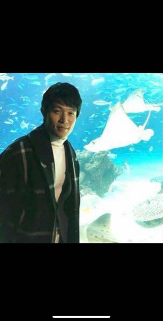 エチュードスタジオ ショールカラー コート ビッグ