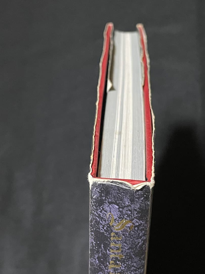 小島文美 画集 Santa Lilio Sangre 緋いユリ